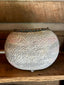 Wild Horses Gourd Bowl