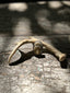 Indian Chief Adjustable Carved Bone Ring