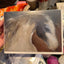 Art Cards