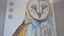 "Barn Owl" Painting - Tosha Wihi Studios / Miquela Jones