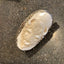 Carved Buffalo Rings (XL)