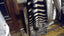 Zebra Rug