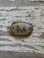 Vintage Nickel and Silver 1981 Steer Roping Buckle